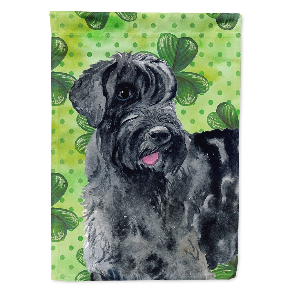 Giant Schnauzer Saint Patricks Flag Canvas - House Size