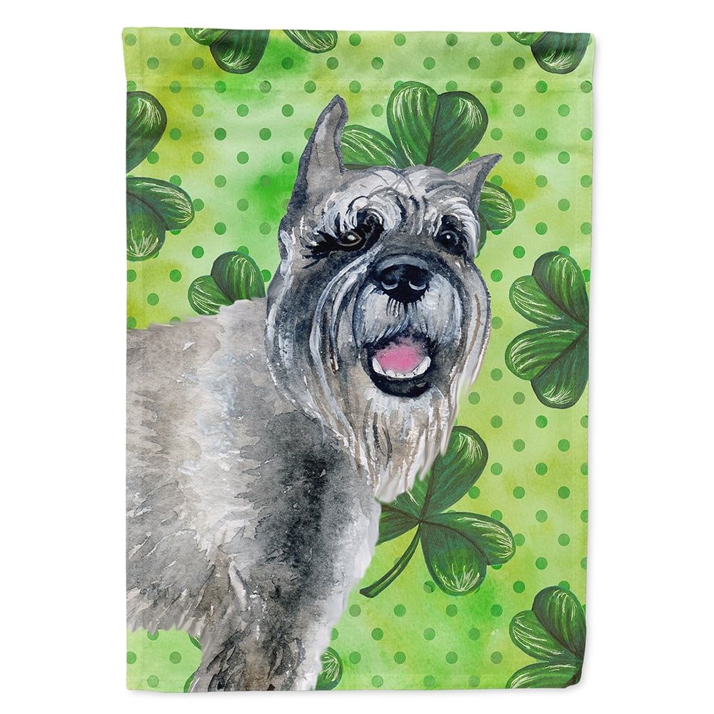 BB9836CHF Schnauzer Saint Patricks Flag Canvas - House Size