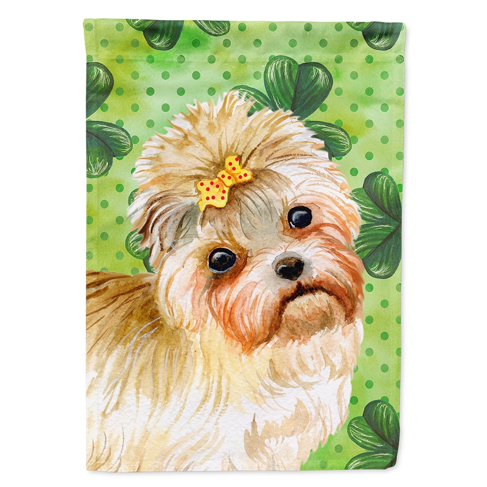 Morkie Saint Patricks Flag Canvas - House Size