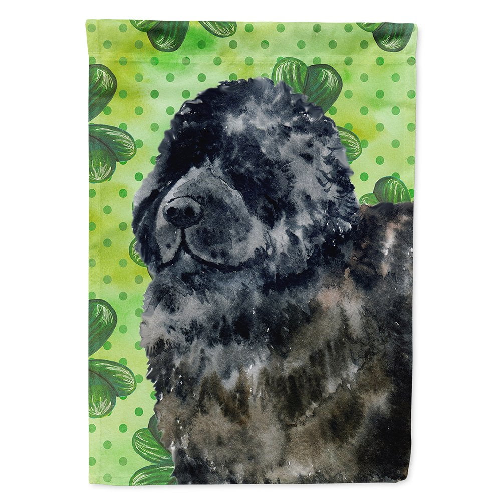 BB9845CHF Newfoundland Saint Patricks Flag Canvas - House Size