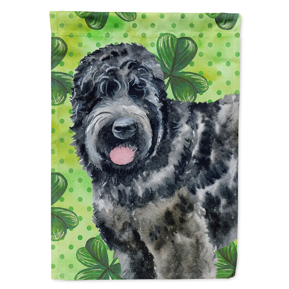 BB9851CHF Black Russian Terrier Saint Patricks Flag Canvas - House Size