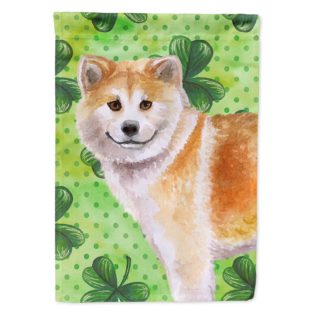 Shiba Inu Saint Patricks Flag Canvas - House Size