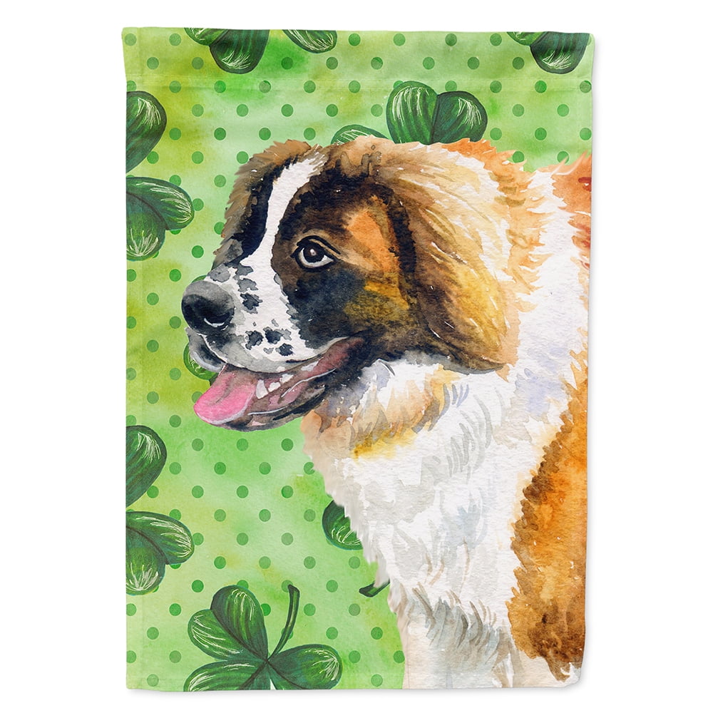 Saint Bernard Saint Patricks Flag Canvas - House Size
