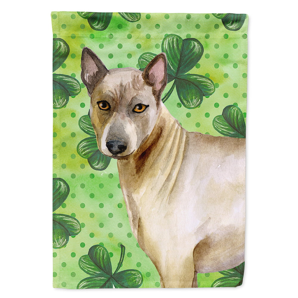 Thai Ridgeback Saint Patricks Flag Canvas - House Size
