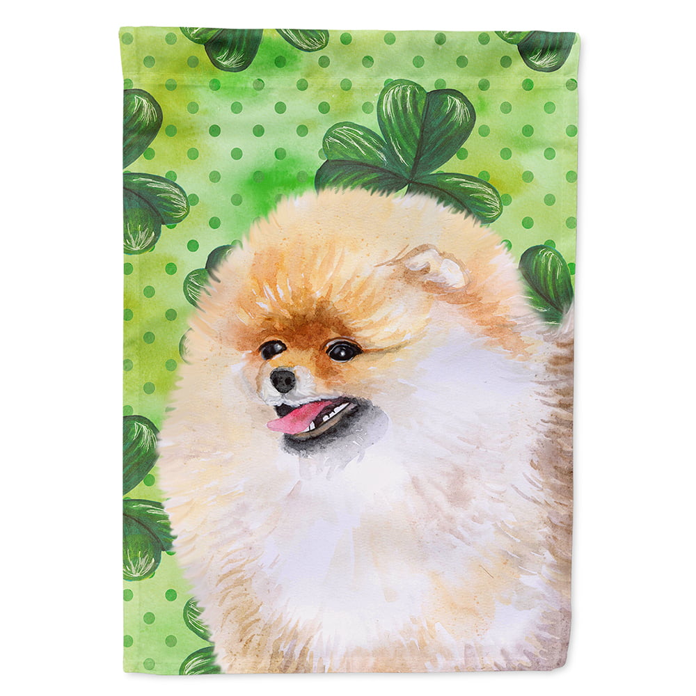 Pomeranian Saint Patricks Flag Canvas - House Size