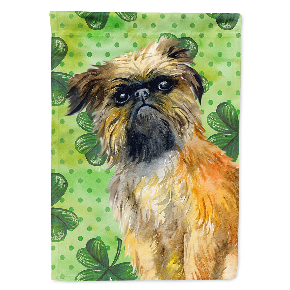 BB9861CHF Brussels Griffon Saint Patricks Flag Canvas - House Size