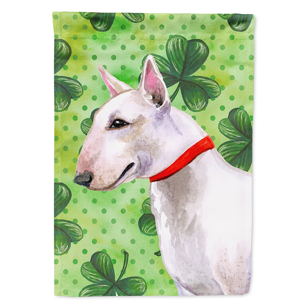 Bull Terrier Saint Patricks Flag Canvas - House Size