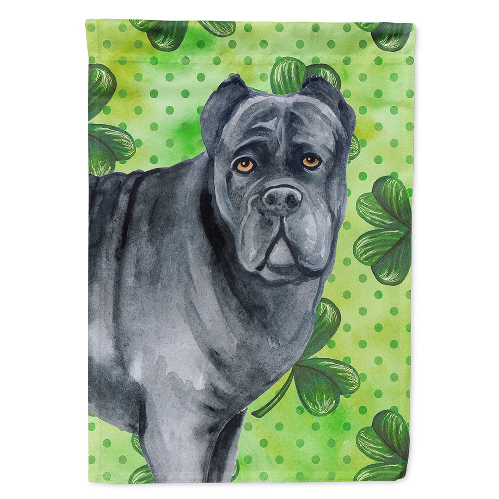 BB9868CHF Cane Corso Saint Patricks Flag Canvas - House Size