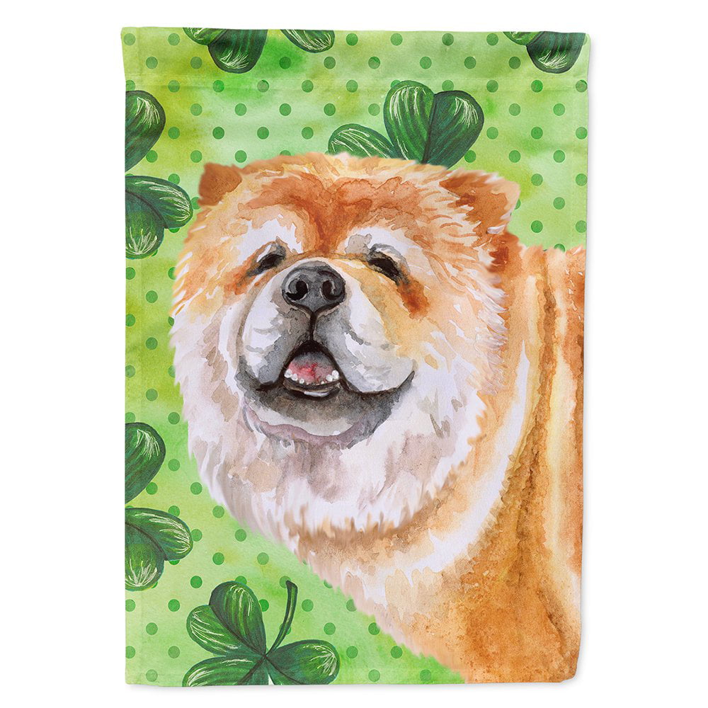 BB9869CHF Cane Corso Saint Patricks Flag Canvas - House Size