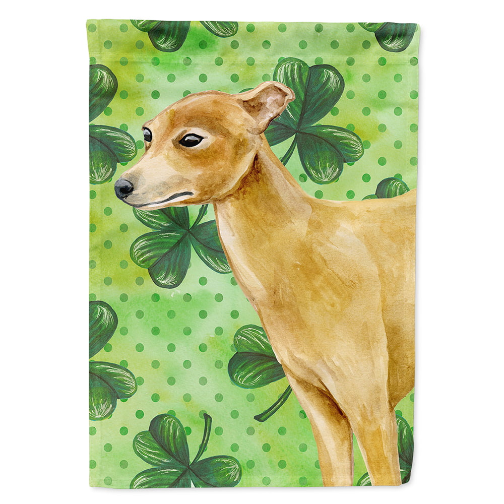 BB9872CHF Italian Greyhound Saint Patricks Flag Canvas - House Size