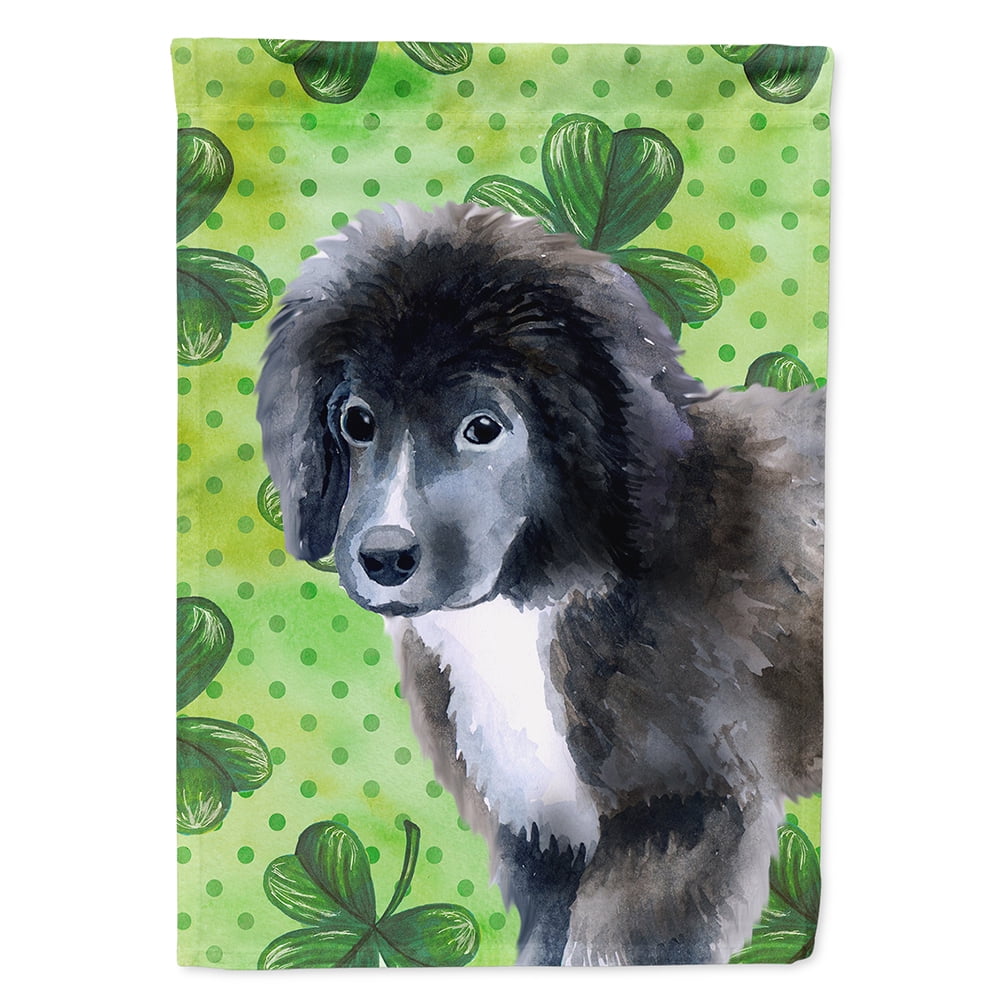 BB9873CHF Newfoundland Puppy Saint Patricks Flag Canvas - House Size