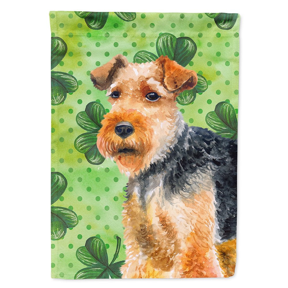 BB9874CHF Welsh Terrier Saint Patricks Flag Canvas - House Size
