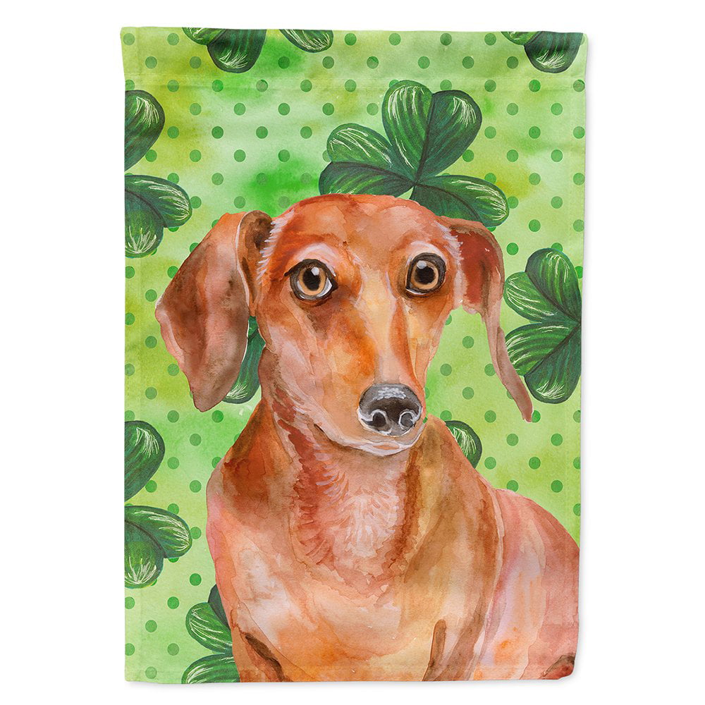 Red Dachshund Saint Patricks Flag Canvas - House Size