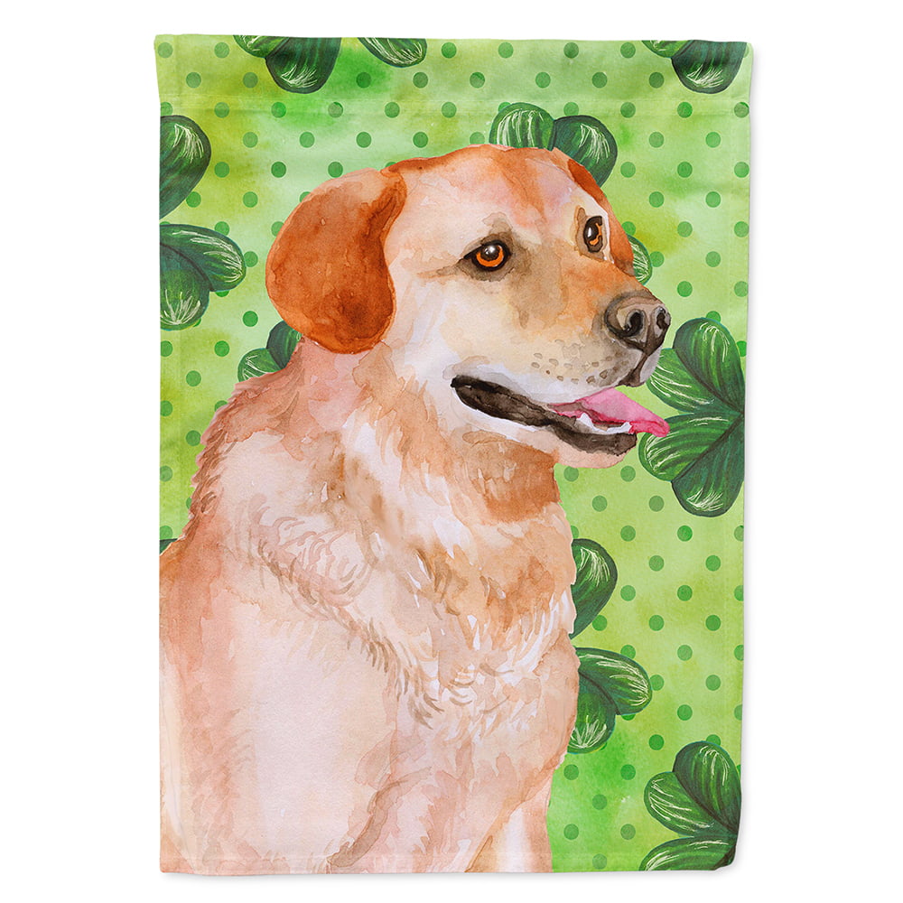 Labrador Retriever Saint Patricks Flag Canvas - House Size