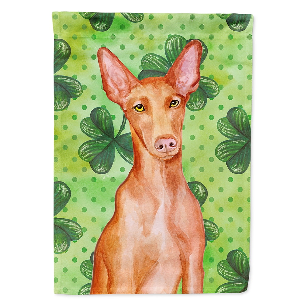 Pharaoh Hound Saint Patricks Flag Canvas - House Size