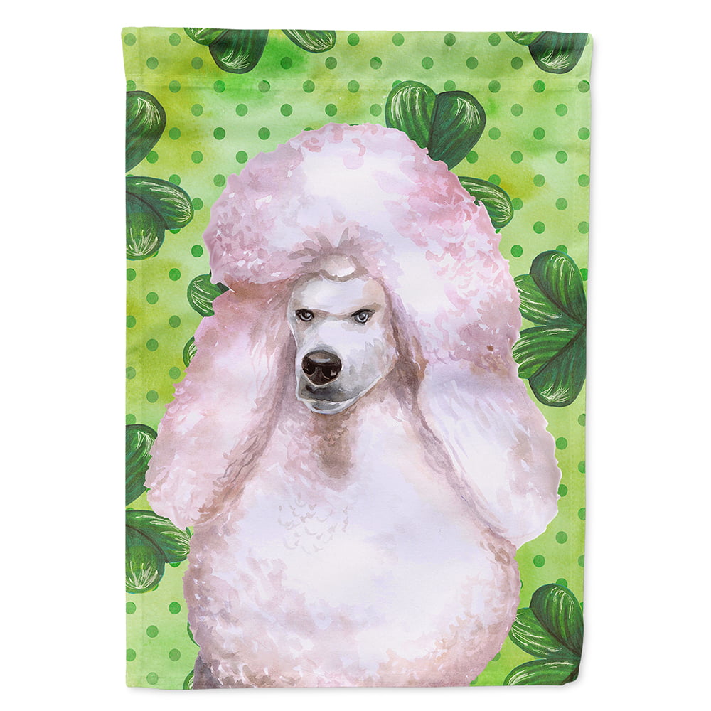 White Standard Poodle Saint Patricks Flag Canvas - House Size