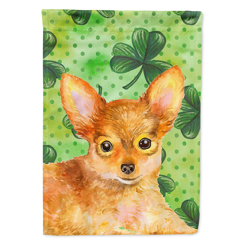 Toy Terrier Saint Patricks Flag Canvas - House Size