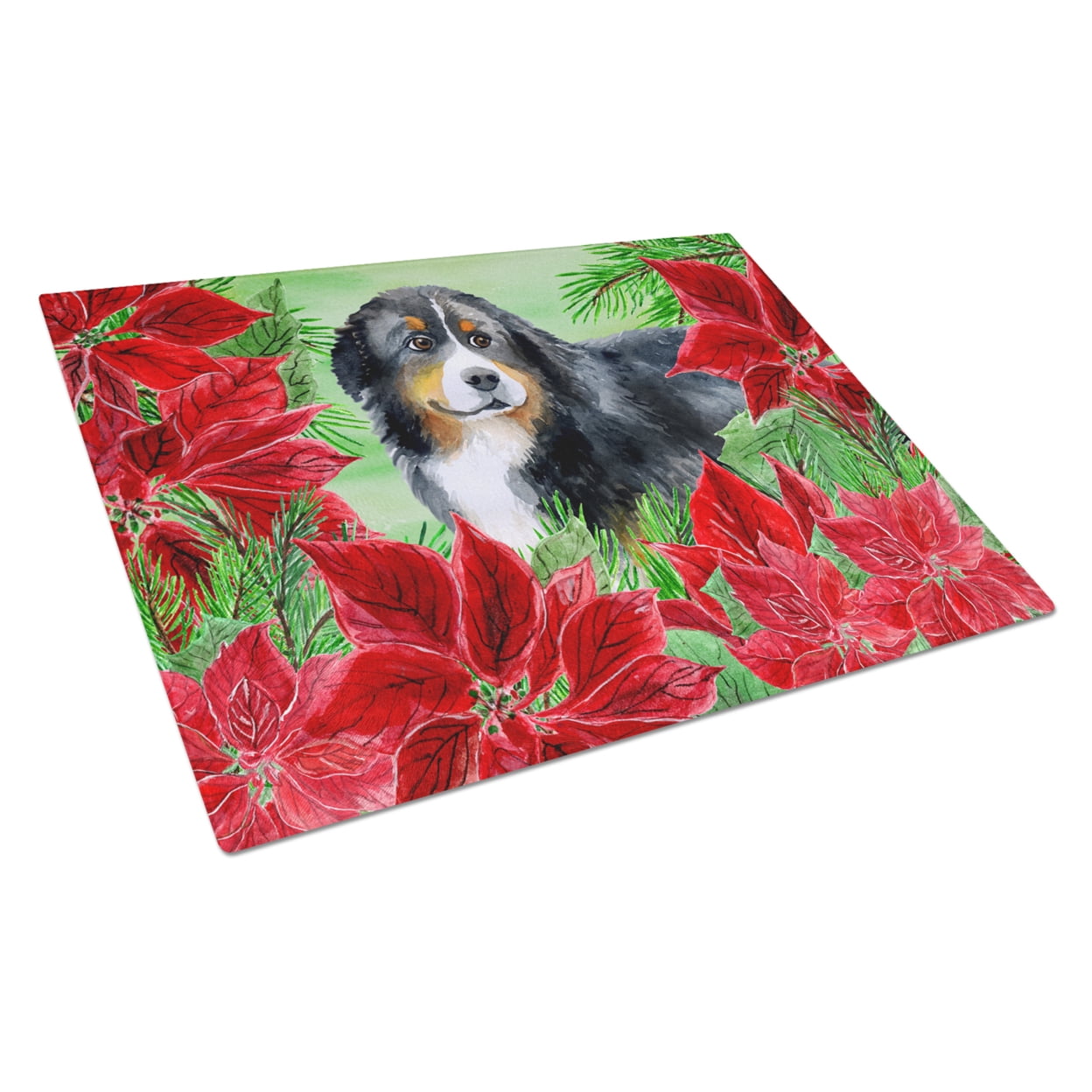 Bernese Mountain Dog Poinsettas Glass Cutting Board, Large
