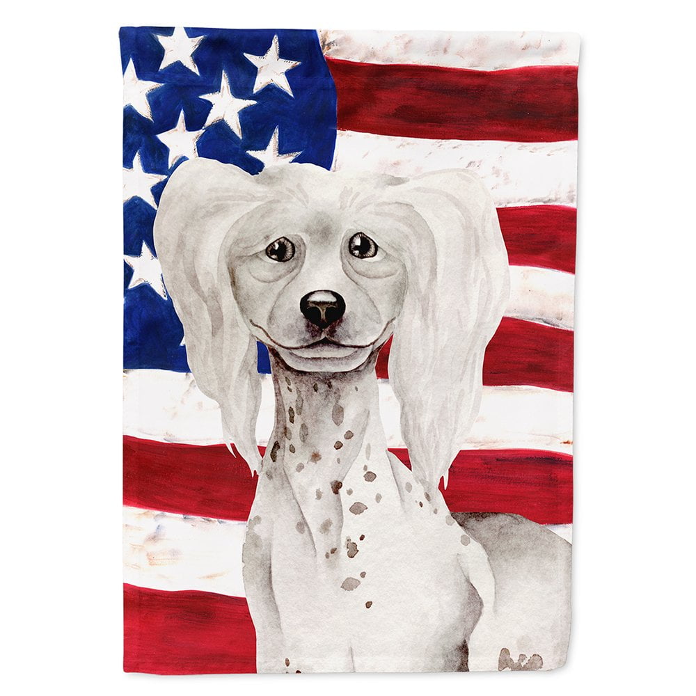 Chinese Crested Patriotic Flag Canvas - House Size