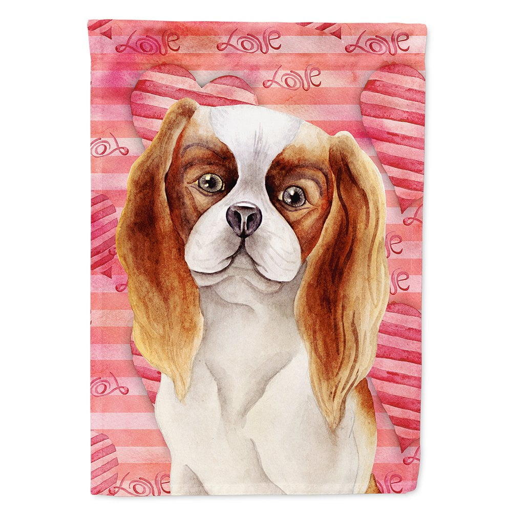 Cavalier Spaniel Love Flag Canvas - House Size