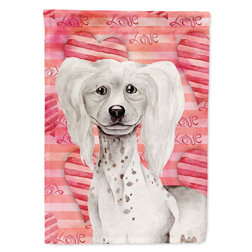 Chinese Crested Love Flag Canvas - House Size
