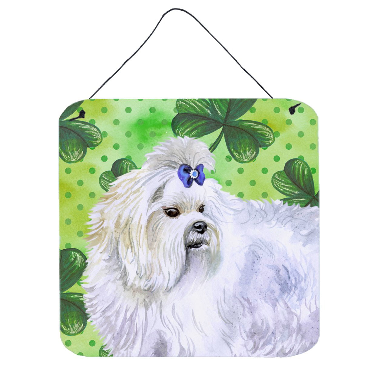 Picture of Carolines Treasures BB9825DS66 Maltese St Patricks Wall or Door Hanging Prints