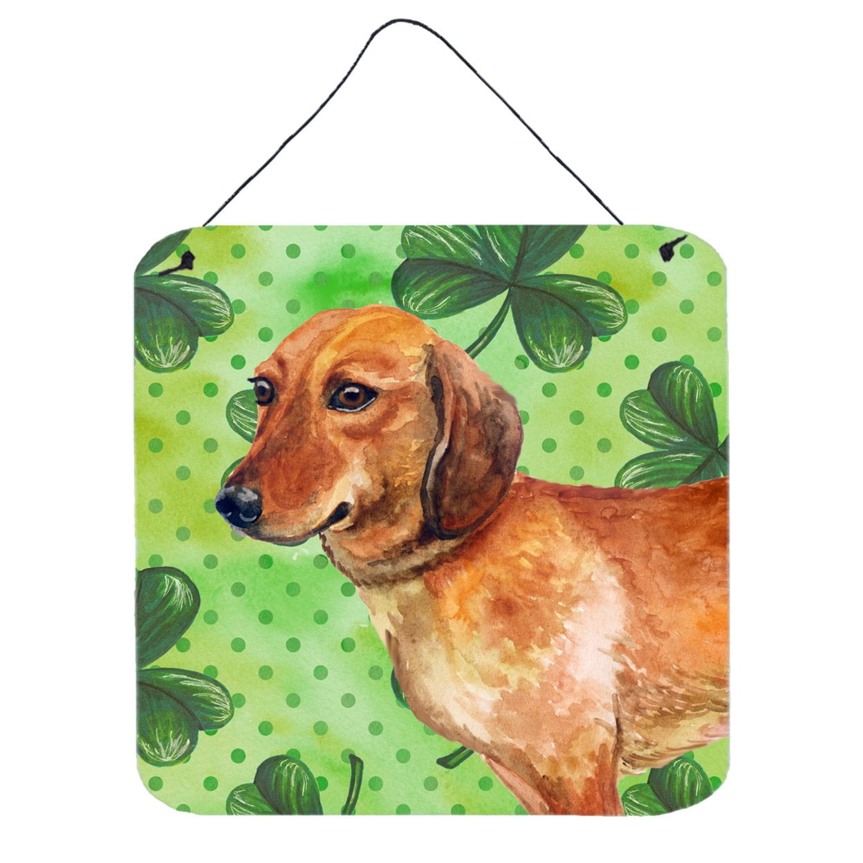 Picture of Carolines Treasures BB9826DS66 Dachshund St Patricks Wall or Door Hanging Prints