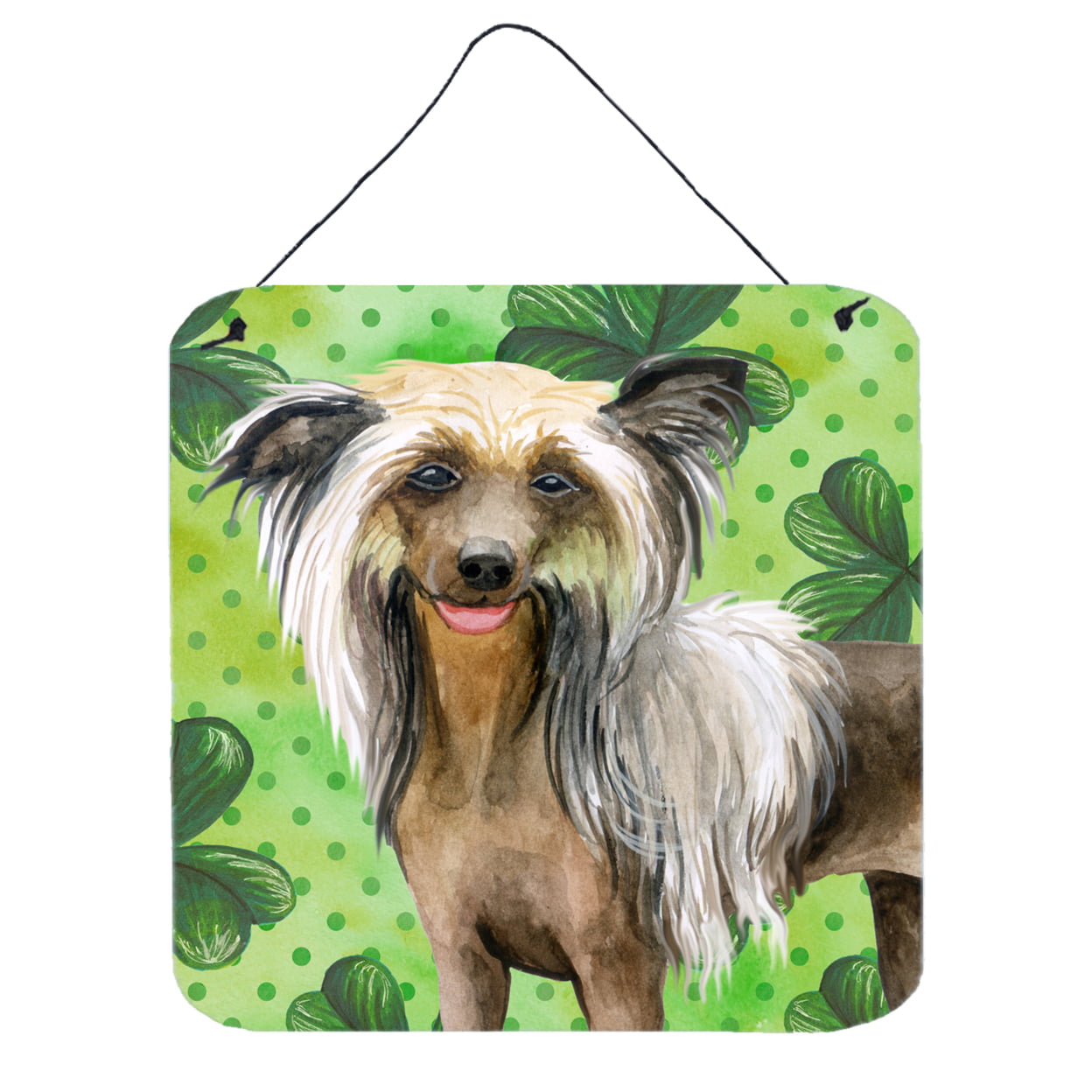 Picture of Carolines Treasures BB9833DS66 Chinese Crested St Patricks Wall or Door Hanging Prints