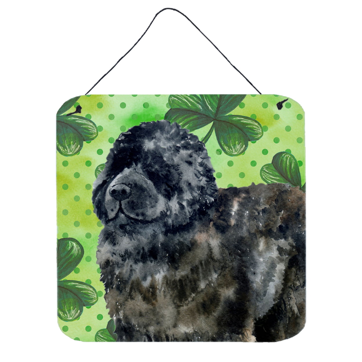 Newfoundland St Patricks Wall or Door Hanging Prints
