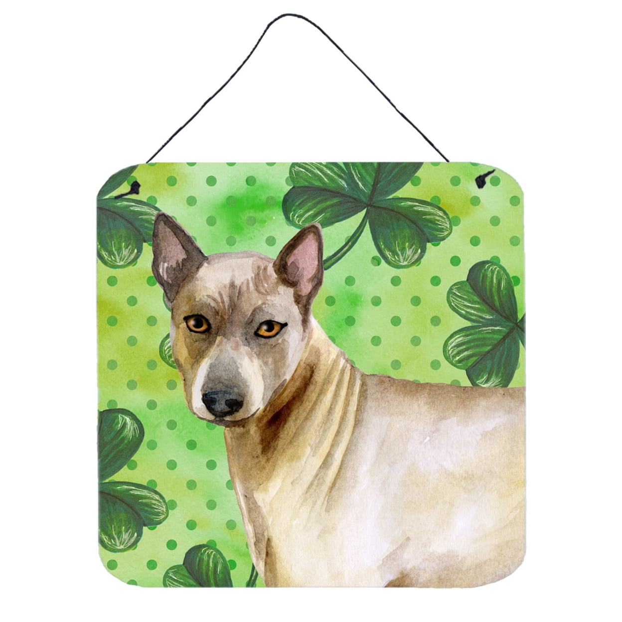 Thai Ridgeback St Patricks Wall or Door Hanging Prints