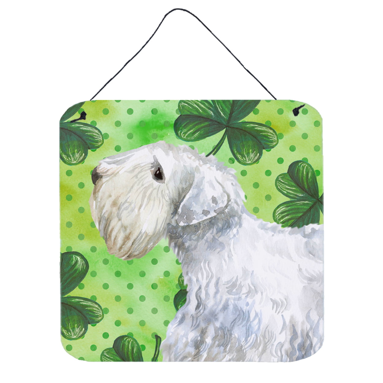 Picture of Carolines Treasures BB9858DS66 Sealyham Terrier St Patricks Wall or Door Hanging Prints