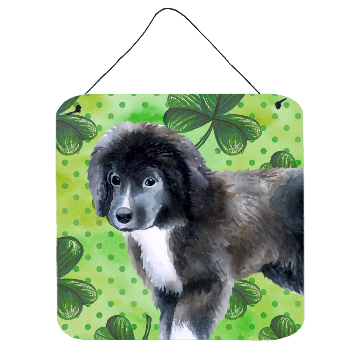 Newfoundland Puppy St Patricks Wall or Door Hanging Prints