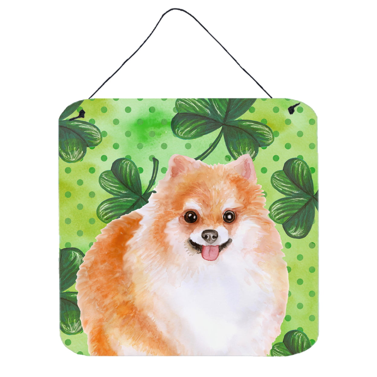 Pomeranian No 2 St Patricks Wall or Door Hanging Prints