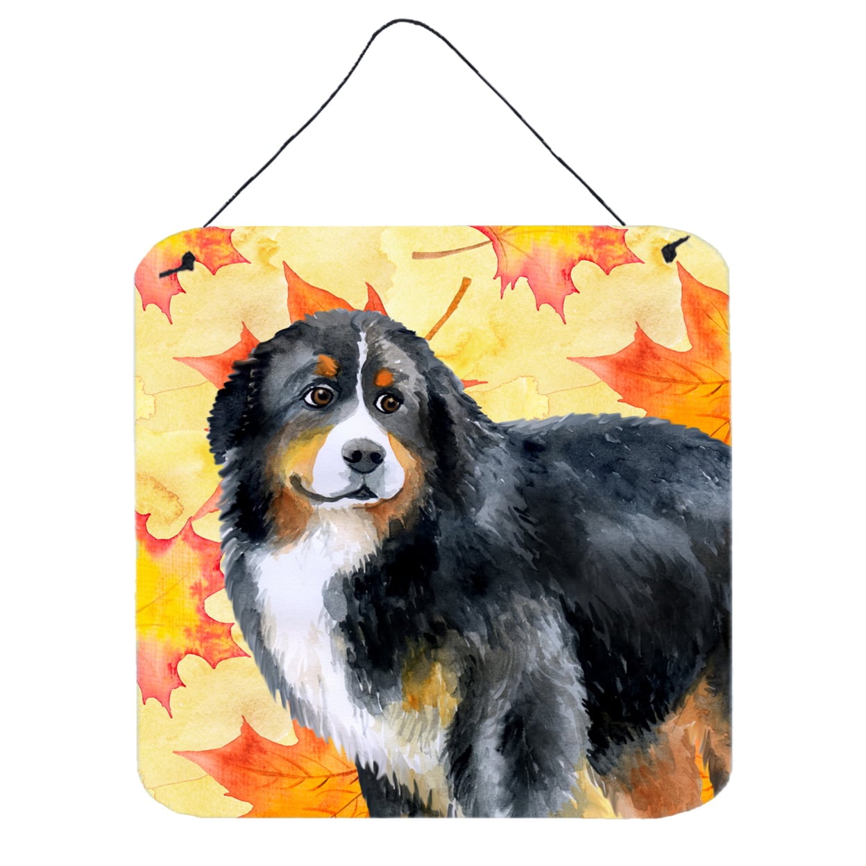 Bernese Mountain Dog Fall Wall or Door Hanging Prints