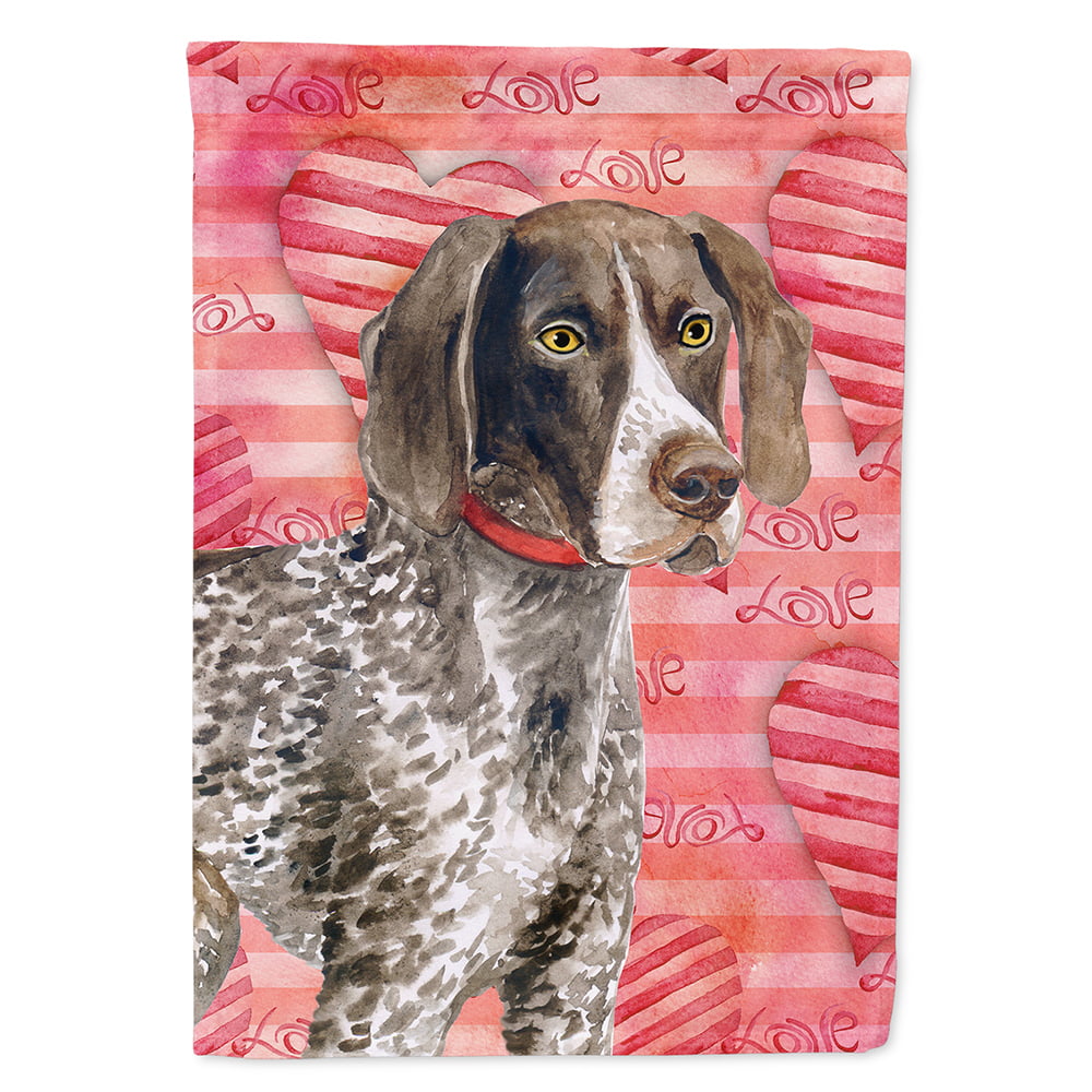 BB9728CHF German Shorthaired Pointer Love Flag - Canvas House Size