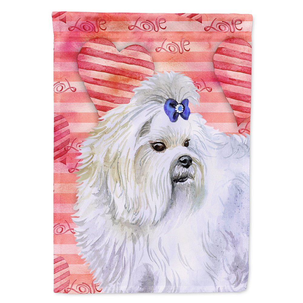 Maltese Love Flag - Canvas House Size