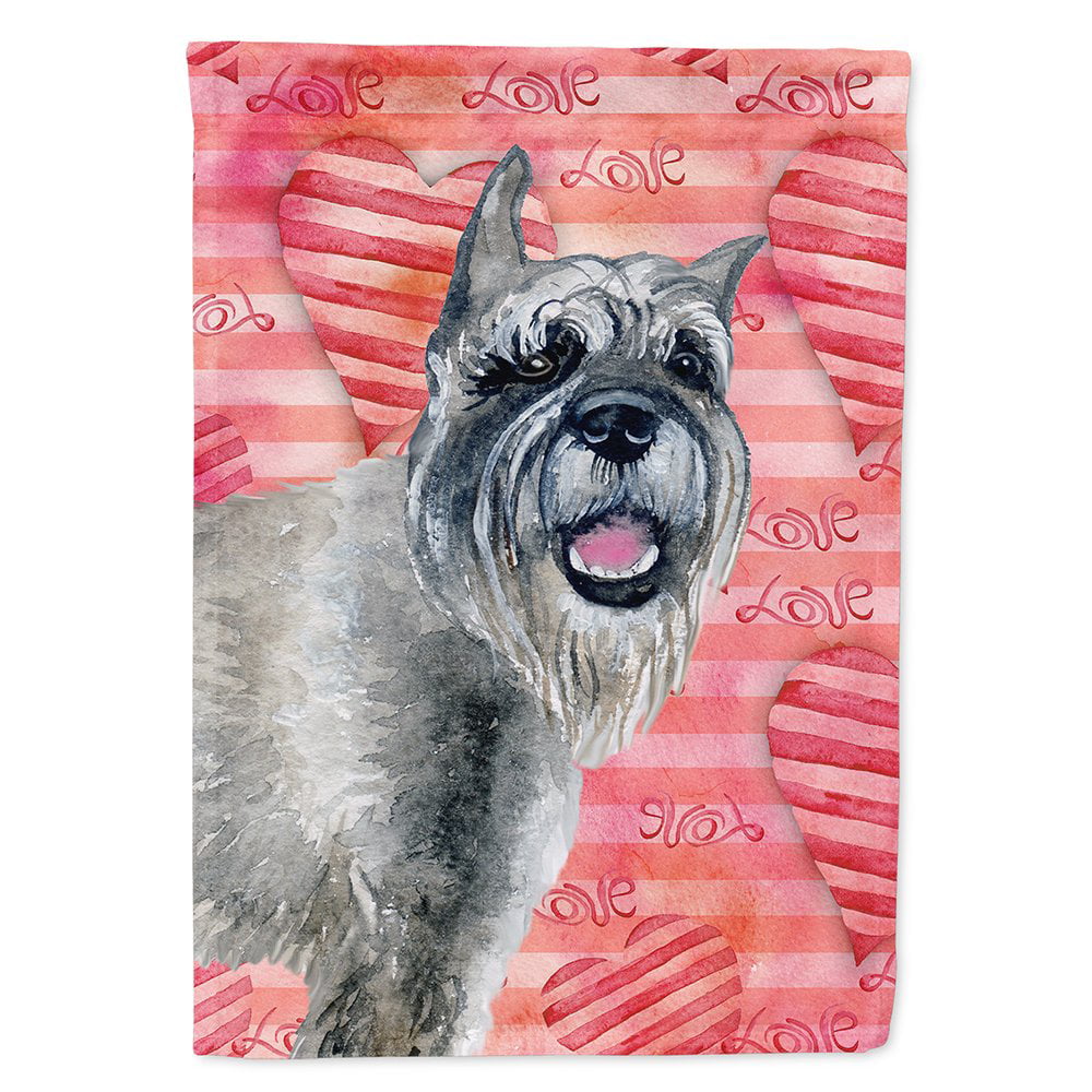 BB9749CHF Schnauzer Love Flag - Canvas House Size
