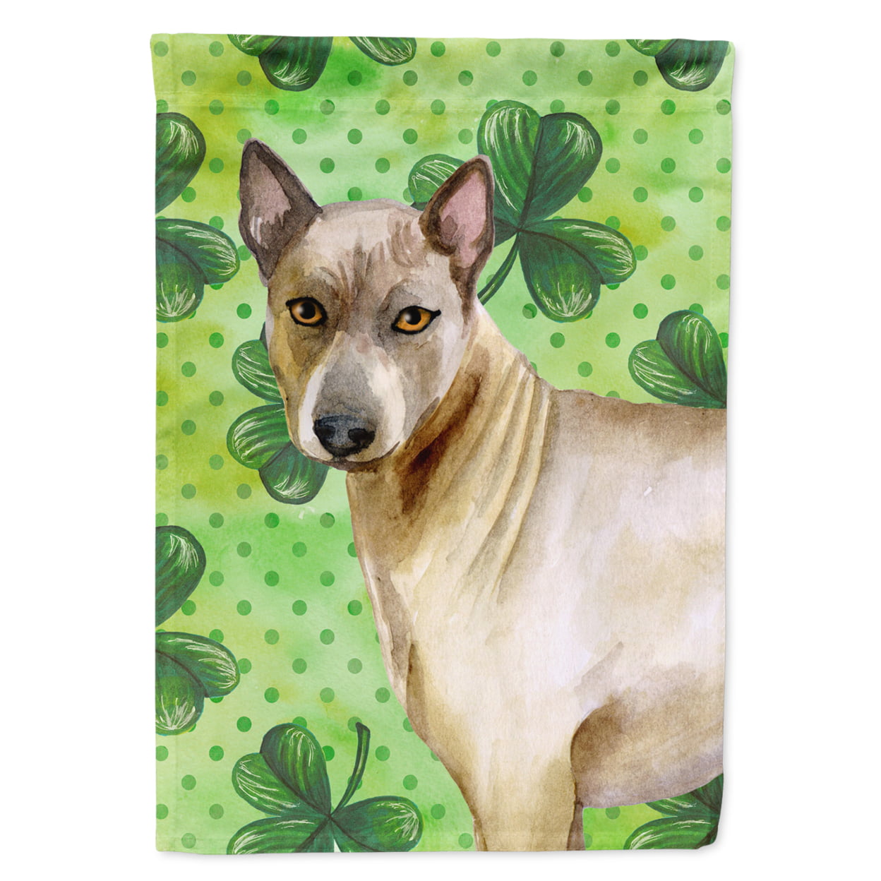 BB9854GF Thai Ridgeback St.Patricks Flag - Garden Size