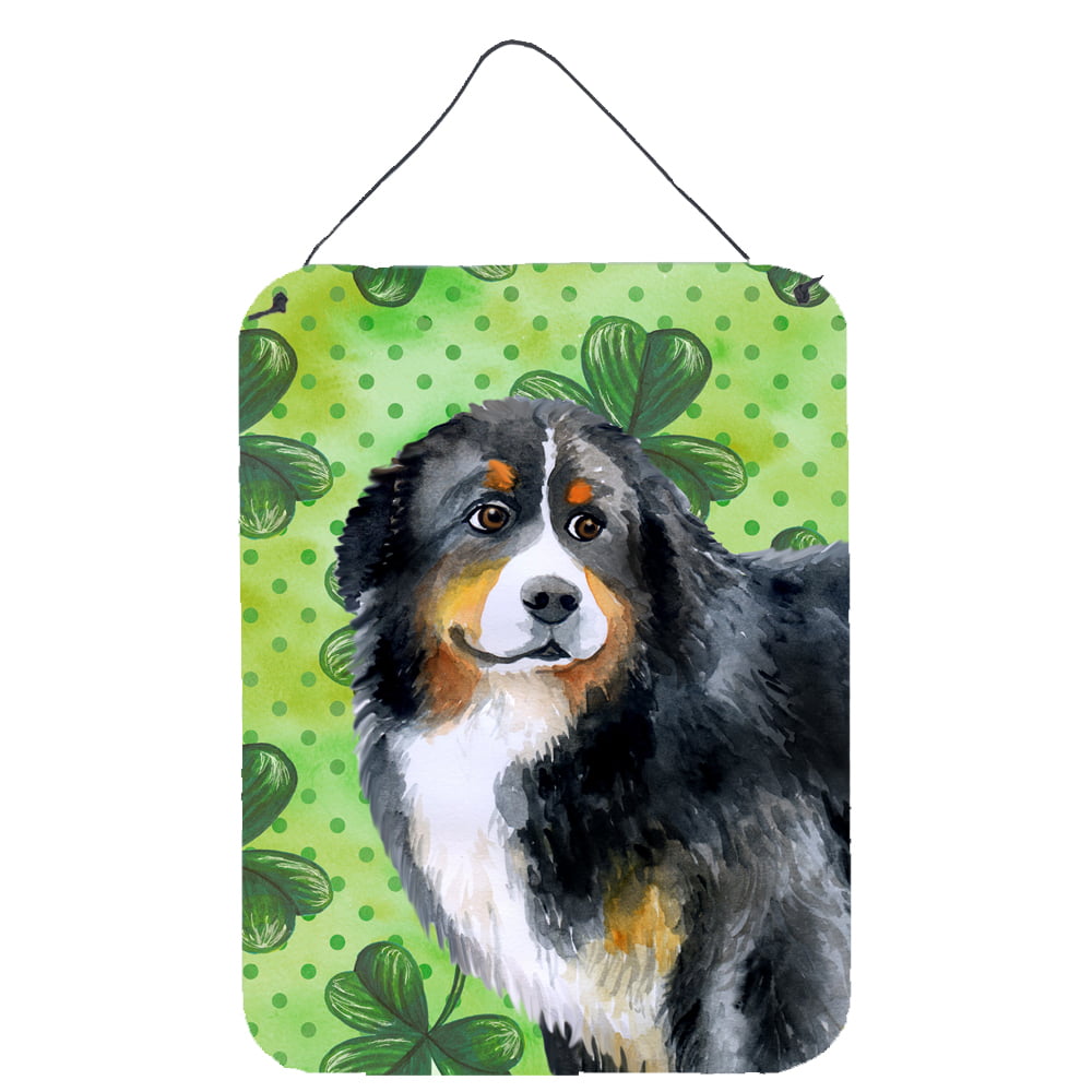 Picture of Carolines Treasures BB9819DS1216 Bernese Mountain Dog St.Patricks Wall or Door Hanging Prints, 12 x 16 in.