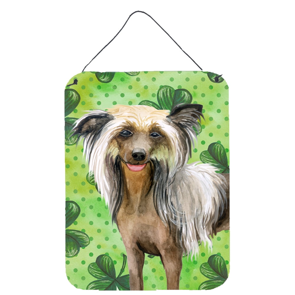 Chinese Crested St.Patricks Wall or Door Hanging Prints, 12 x 16 in.