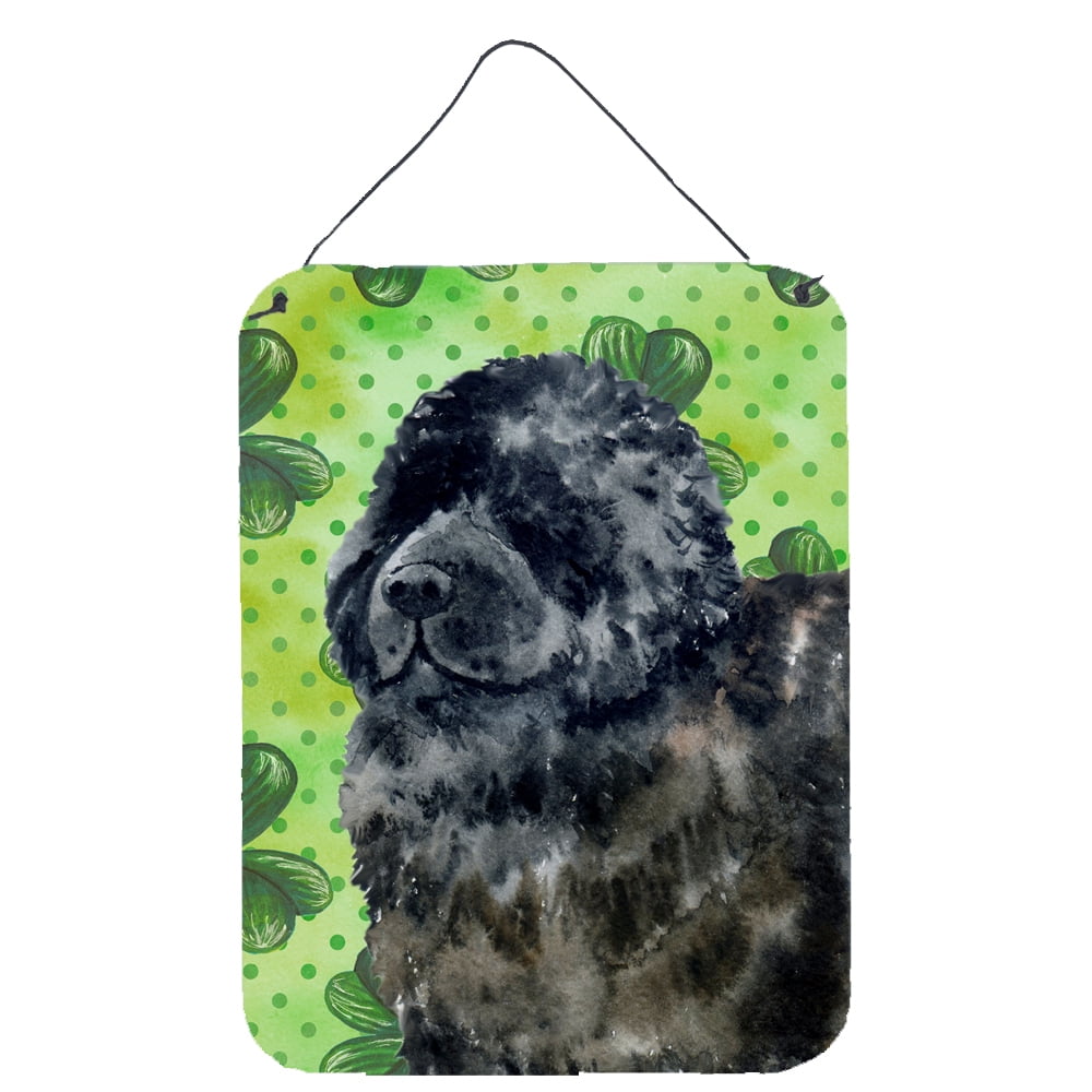 Newfoundland St.Patricks Wall or Door Hanging Prints, 12 x 16 in.
