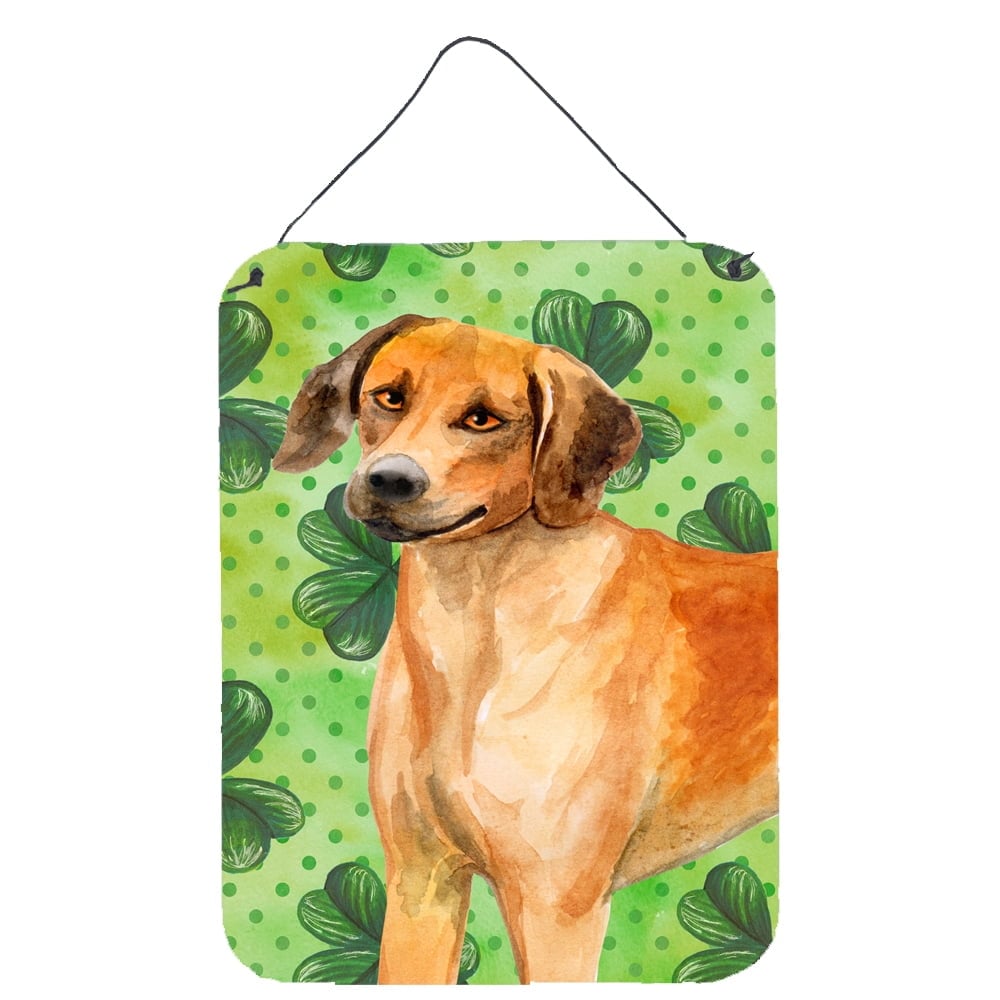 Picture of Carolines Treasures BB9850DS1216 Rhodesian Ridgeback St.Patricks Wall or Door Hanging Prints, 12 x 16 in.
