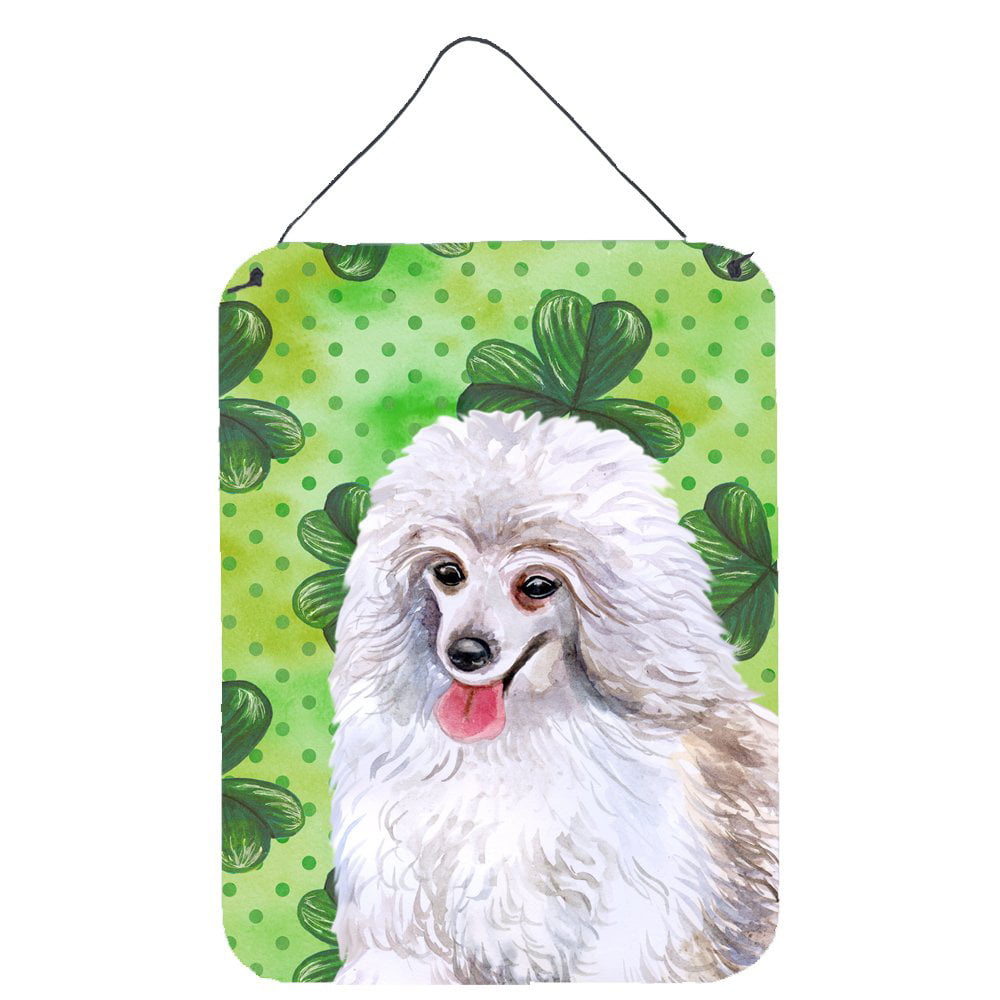 Picture of Carolines Treasures BB9857DS1216 Medium White Poodle St.Patricks Wall or Door Hanging Prints, 12 x 16 in.