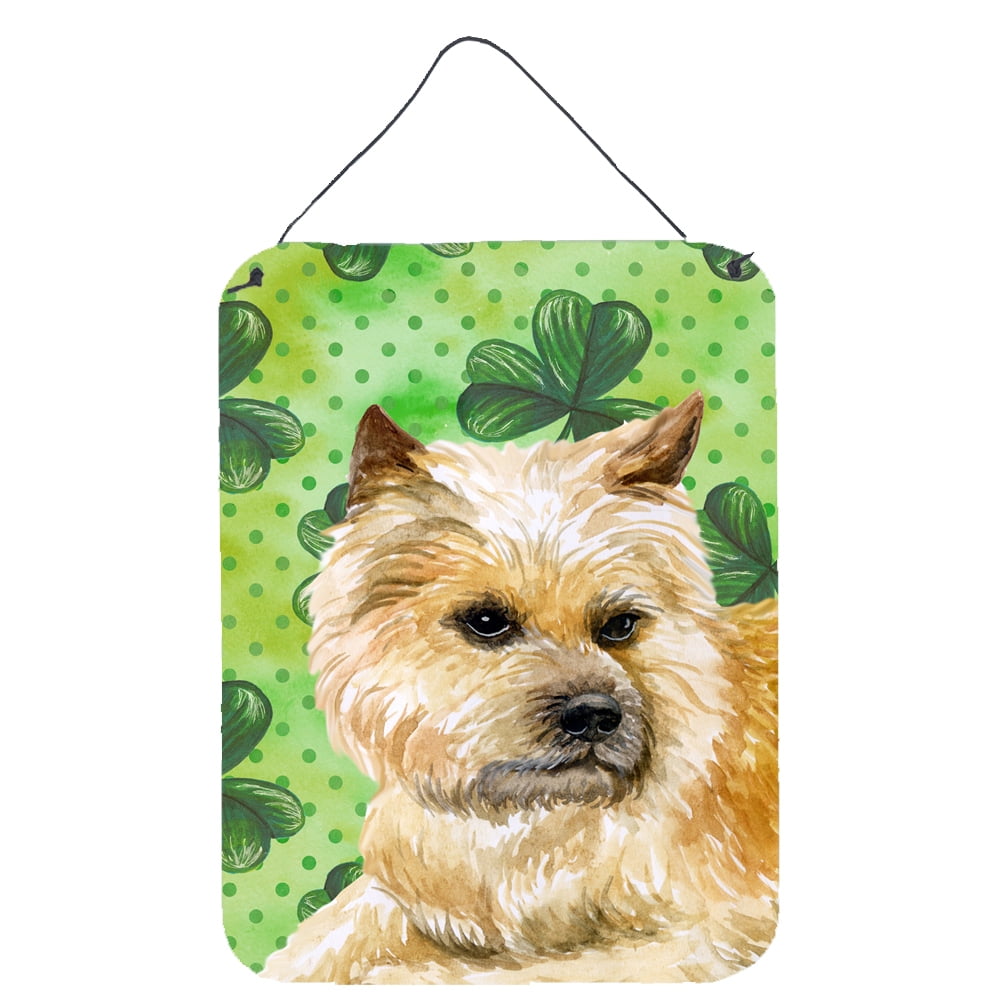 Cairn Terrier St.Patricks Wall or Door Hanging Prints, 12 x 16 in.