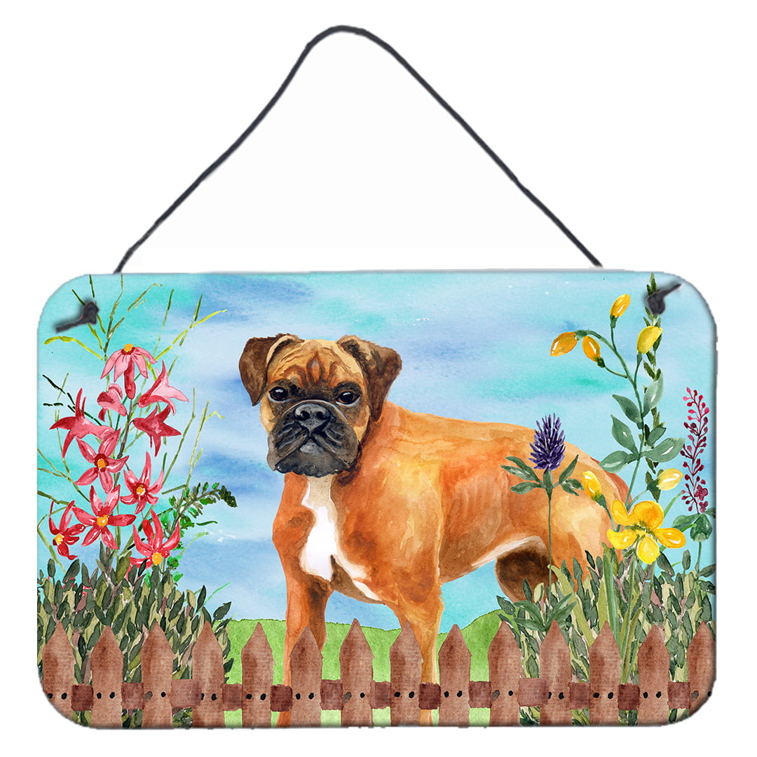 German Boxer Spring Wall or Door Hanging Prints, 8 x 12 in.