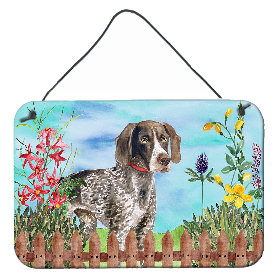 German Shorthaired Pointer Spring Wall or Door Hanging Prints, 8 x 12 in.