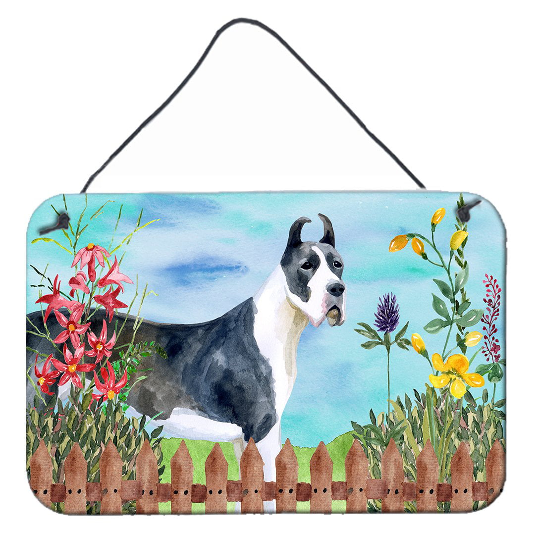Harlequin Great Dane Spring Wall or Door Hanging Prints, 8 x 12 in.