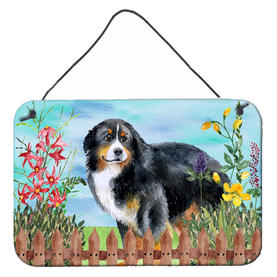 Bernese Mountain Dog Spring Wall or Door Hanging Prints, 8 x 12 in.