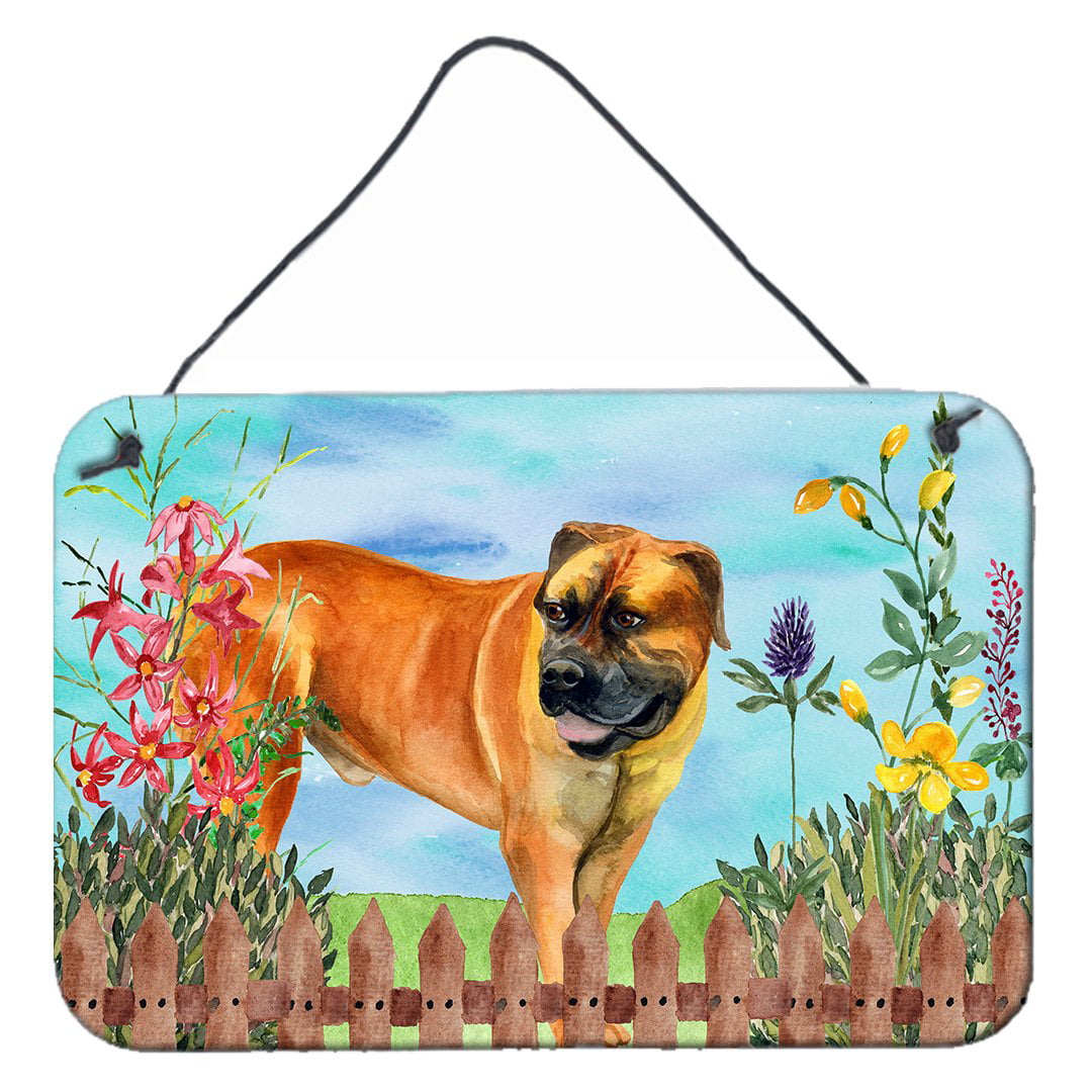 Boerboel Mastiff Spring Wall or Door Hanging Prints, 8 x 12 in.