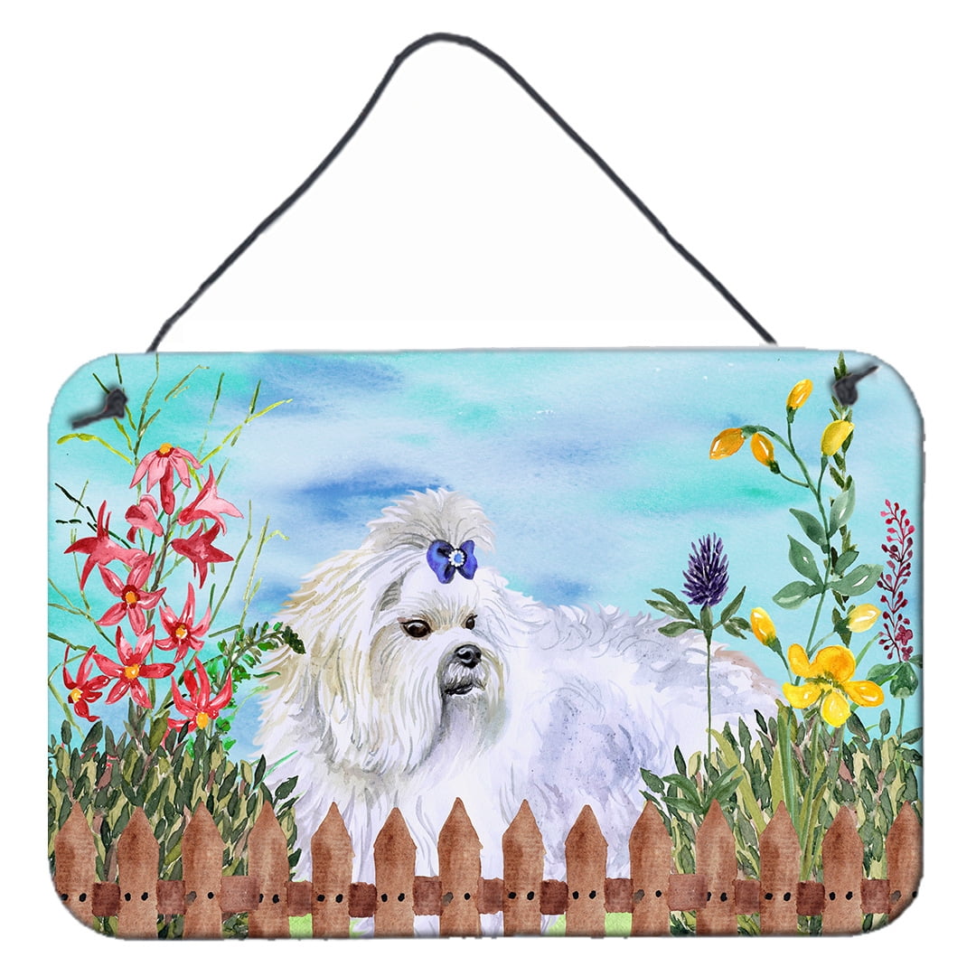 Maltese Spring Wall or Door Hanging Prints, 8 x 12 in.